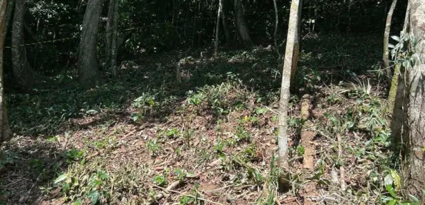 Lote/Terreno à venda, 1800m² no Balneario Praia do Perequê, Guarujá