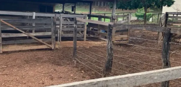 Fazenda/Sítio à venda no Vila São José, Inhumas