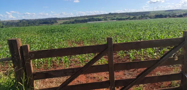 Fazenda/Sítio com 3 Quartos à venda, 280000m² no Taquara, Brasília
