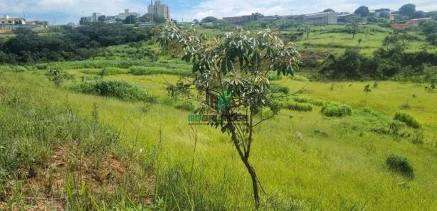 Lote/Terreno para alugar, 5000m² no Cidade Verde, Betim