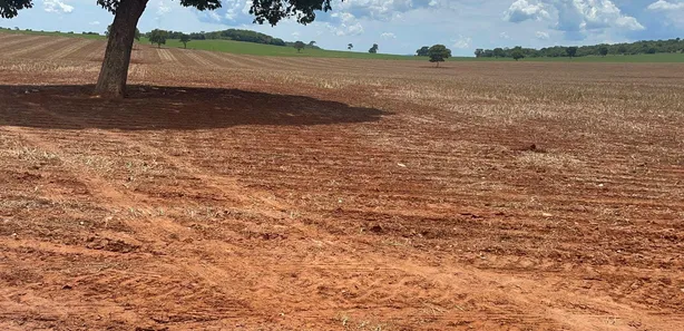 Fazenda/Sítio à venda, 1597200m² no zona rural, 