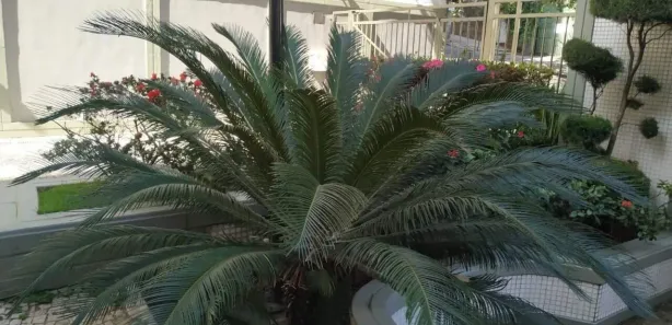 Apartamento com 4 Quartos à venda, 190m² no Lourdes, Belo Horizonte