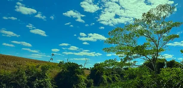 Fazenda/Sítio com 4 Quartos à venda, 145200m² no , Goiás