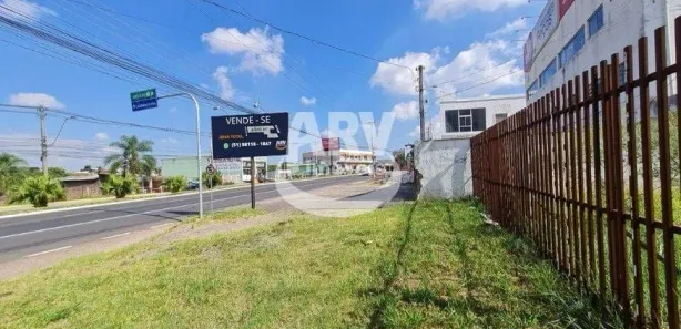 Lote/Terreno à venda, 4049m² no Bom Princípio, Gravataí