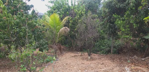Lote/Terreno à venda, 4681m² no Palmital, Lagoa Santa