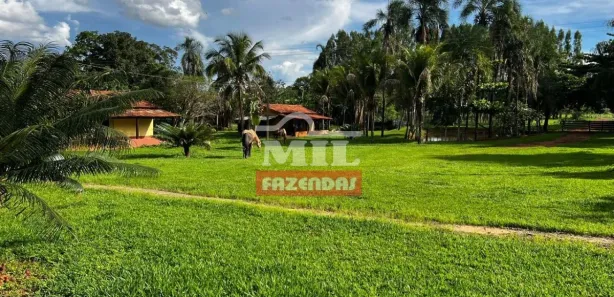 Fazenda/Sítio à venda, 700000000m² no , Padre Bernardo