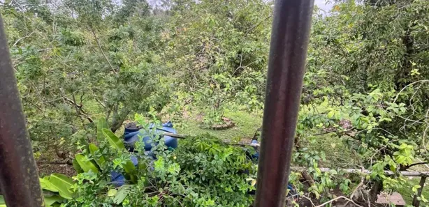 Fazenda/Sítio com 3 Quartos à venda, 200m² no Ajuda de Cima, Macaé