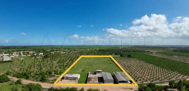 Lote/Terreno para alugar, 20000m² no , São José de Mipibu