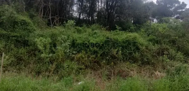 Lote/Terreno à venda, 150m² no Caminho da Eulália, Bento Gonçalves