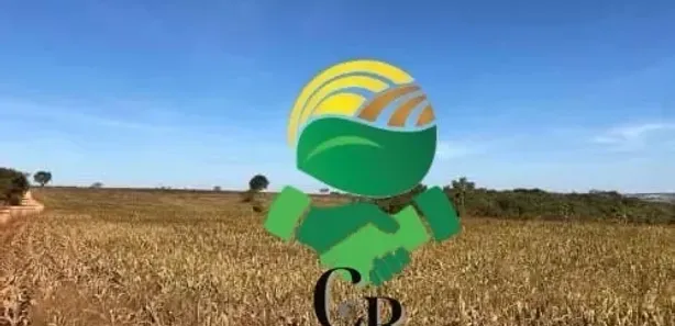 Fazenda/Sítio à venda, 7m² no , Silvânia