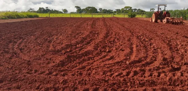 Fazenda/Sítio à venda, 2000m² no Área Rural, Goianira