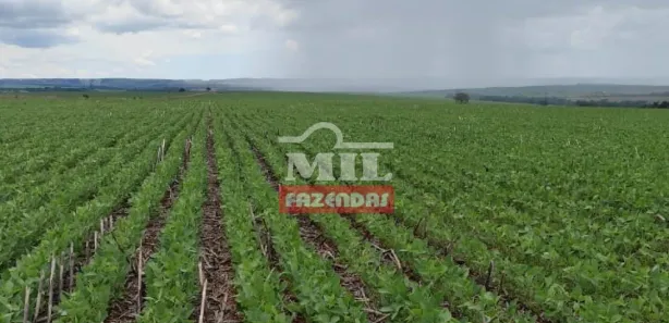 Fazenda/Sítio à venda, 20000m² no , Gameleira de Goiás
