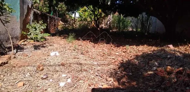 Lote/Terreno à venda, 444m² no Centro, Araraquara