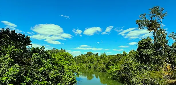 Fazenda/Sítio com 4 Quartos à venda, 145200m² no , Goiás