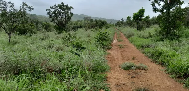 Fazenda/Sítio com 2 Quartos à venda, 280000m² no , Padre Bernardo