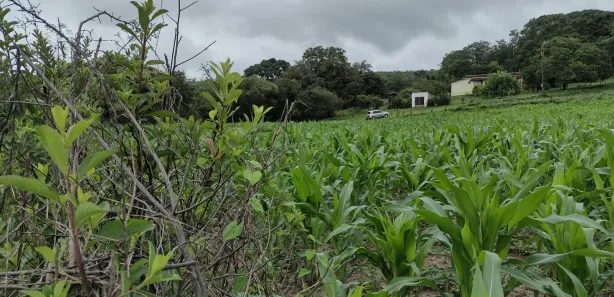 Lote/Terreno à venda, 20000m² no Zona Rural, Fortuna de Minas