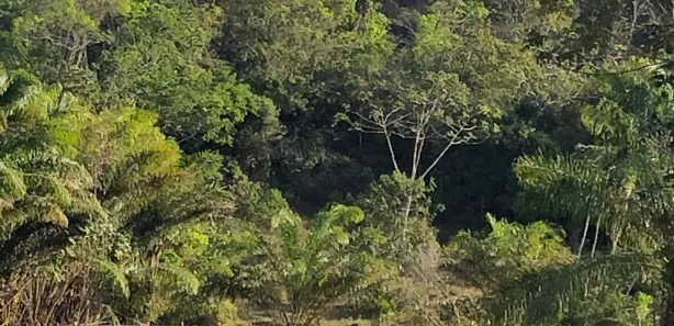 Fazenda/Sítio à venda, 700000m² no Centro, Candeias