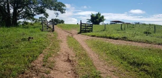 Fazenda/Sítio à venda no , Padre Bernardo