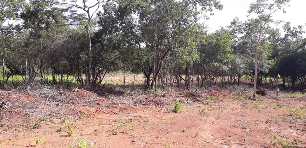 Lote/Terreno à venda, 20000m² no Cordisburgo, Cordisburgo