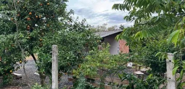 Fazenda/Sítio com 1 Quarto à venda, 10000m² no , Caraá