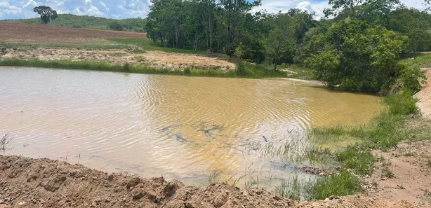 Fazenda/Sítio à venda, 1597200m² no zona rural, 