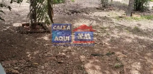 Fazenda/Sítio com 5 Quartos à venda, 11315m² no Niquelândia, Niquelândia