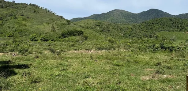 Fazenda/Sítio com 4 Quartos à venda, 490000m² no , Casimiro de Abreu