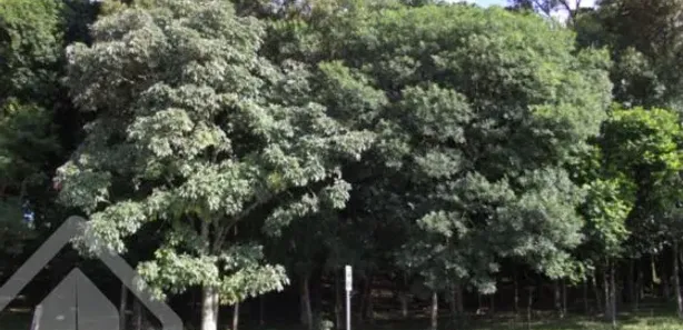 Lote/Terreno à venda, 3121m² no Cruzeiro, Caxias do Sul