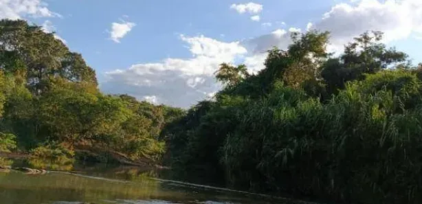 Fazenda/Sítio à venda, 26000m² no , Padre Bernardo