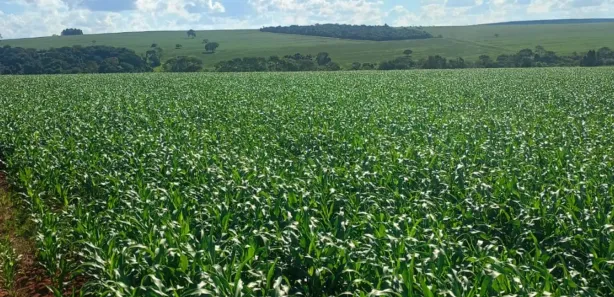 Fazenda/Sítio à venda, 1m² no Zona Rural, Gameleira de Goiás