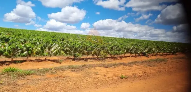 Fazenda/Sítio com 11 Quartos à venda, 29290000m² no Zona Rural, 