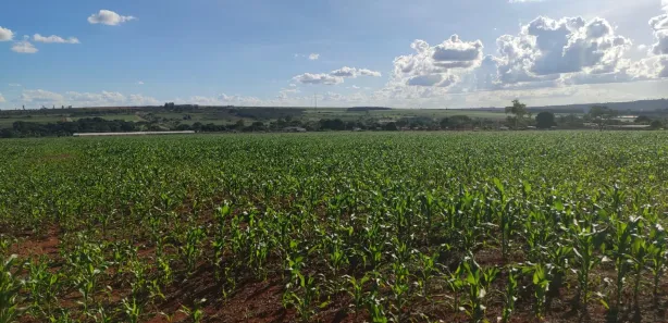 Fazenda/Sítio com 3 Quartos à venda, 280000m² no Taquara, Brasília