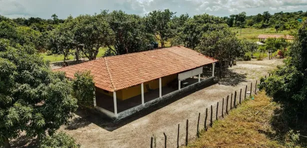 Fazenda/Sítio à venda, 30000m² no Zona Rural, Altos