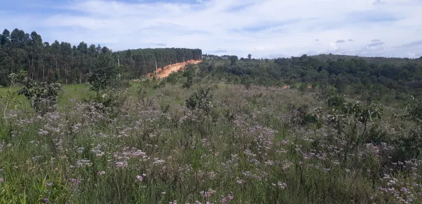 Lote/Terreno à venda, 20000m² no , Paraopeba