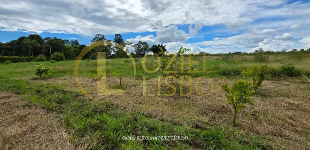 Fazenda/Sítio com 1 Quarto à venda, 20000m² no Brazlândia, Brasília