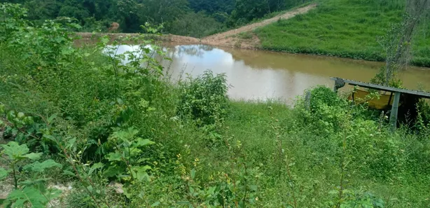 Fazenda/Sítio com 2 Quartos à venda, 4140000m² no , Padre Bernardo