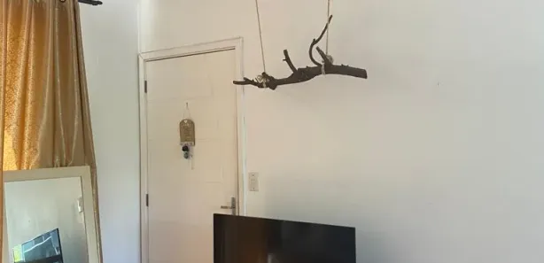 Apartamento com 2 Quartos para alugar, 54m² no Rio dos Sinos, São Leopoldo