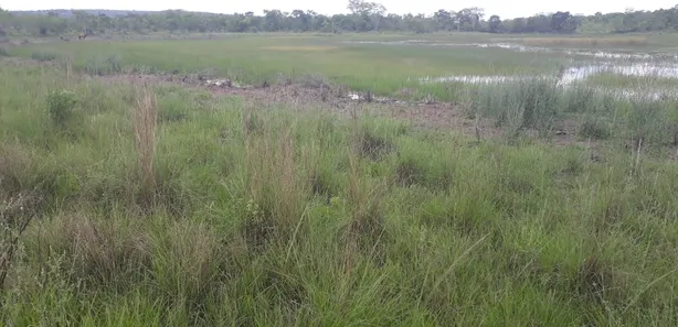 Lote/Terreno à venda, 20000m² no , Araçaí