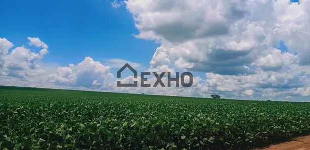 Fazenda/Sítio com 1 Quarto à venda, 225m² no , Gameleira de Goiás
