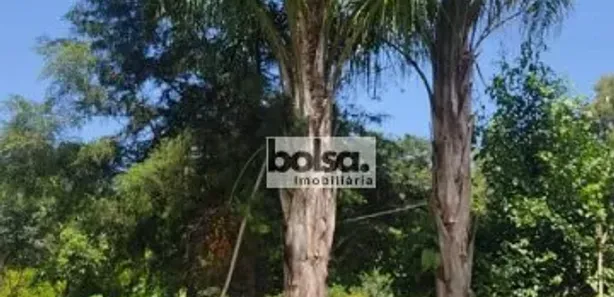 Fazenda/Sítio com 3 Quartos à venda, 20000m² no Área Rural de Piratininga, Piratininga