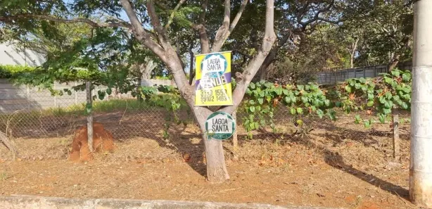 Lote/Terreno à venda, 1002m² no Anel, Lagoa Santa