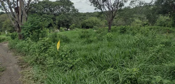Lote/Terreno à venda, 20000m² no Zona Rural, Fortuna de Minas