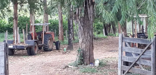 Lote/Terreno à venda, 20000m² no Cordisburgo, Cordisburgo