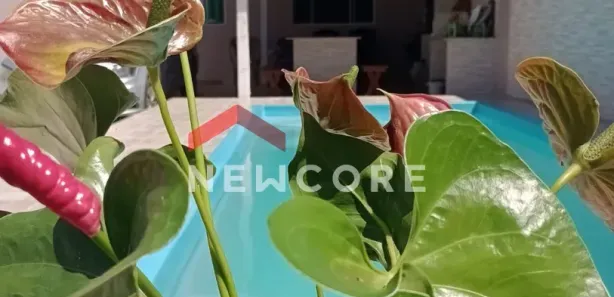 Casa com 3 Quartos à venda, 108m² no FLAMINGO, Matinhos