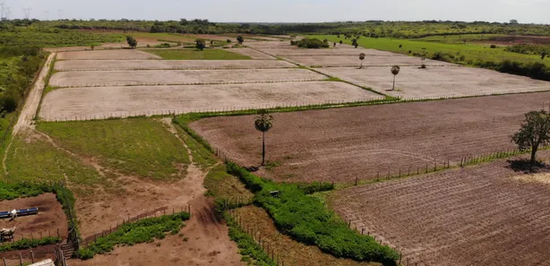 Fazenda/Sítio com 3 Quartos à venda, 124000000m² no Centro, Campo Maior
