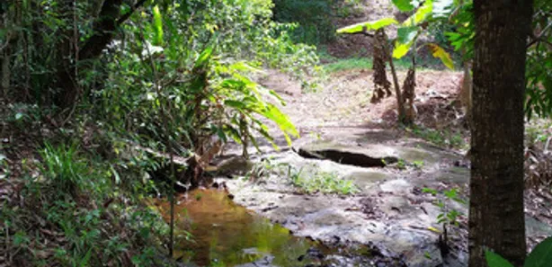 Fazenda/Sítio com 3 Quartos à venda, 150000m² no Comunidade Urbana de Iguape, Guarapari