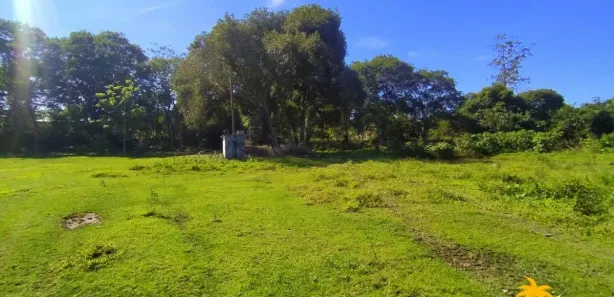 Fazenda/Sítio com 2 Quartos à venda, 50000m² no Bicuíba (Bacaxá), Saquarema
