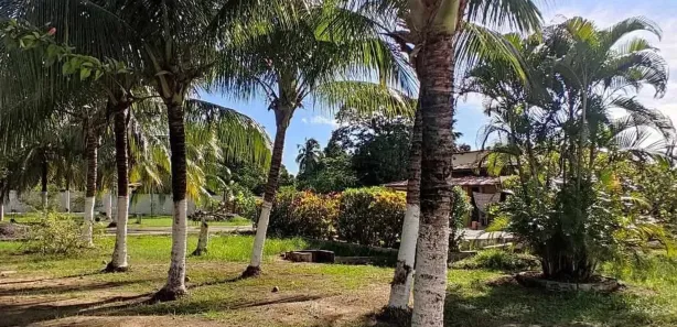 Lote/Terreno à venda, 150m² no Loteamento Bosque Ponta da Areia, Itaparica