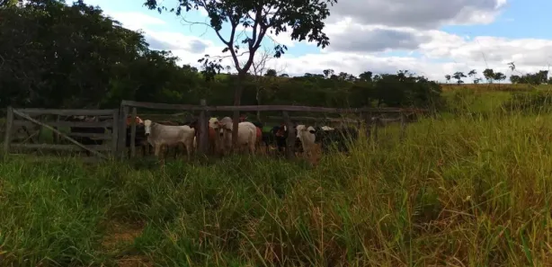 Fazenda/Sítio à venda, 385000m² no Palmital de Minas, Cabeceira Grande