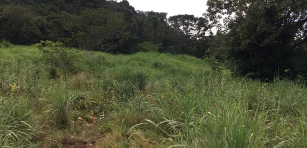 Fazenda/Sítio com 3 Quartos à venda, 43m² no Tupiracaba, Niquelândia